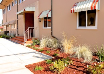 St. Gregory’s, Green Space Renovation